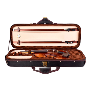 Deinmei Violin Case, Double Shoulder/Single Shoulder Lightweight Violin Bag, Pressure-Resistant and Wear-Resistant Violin Accessories