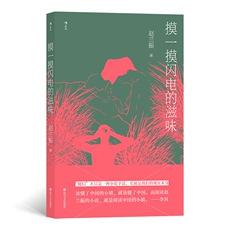 现代小说1919-1949年 摸一摸闪电的滋味