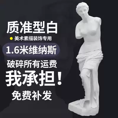 1 6 Mi Venus full-body plaster ornament studio figure decoration sculpture European statue art teaching aids