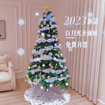 Christmas tree home package high-end ins style diy luminous large ornaments 2023 new Christmas decorations