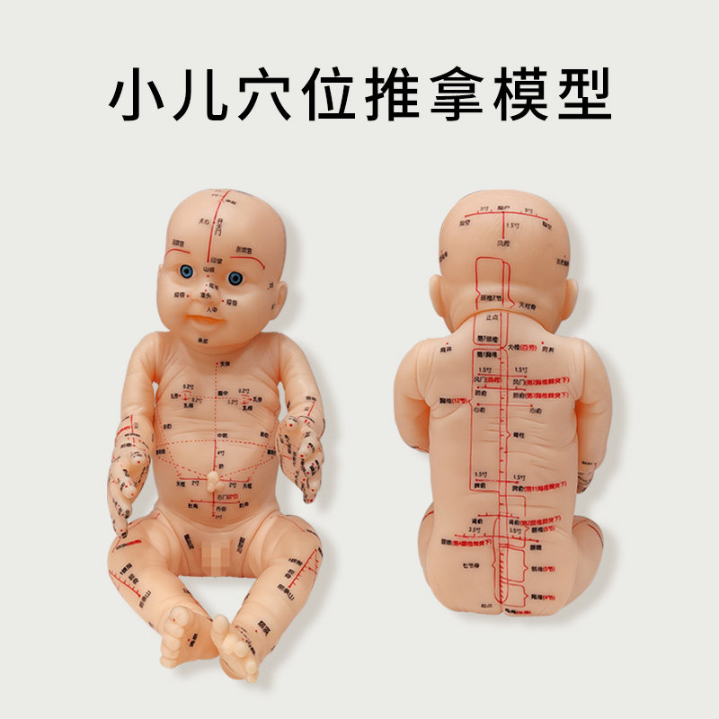 50厘米小儿推拿模型娃娃婴儿推拿按摩手宝宝穴位推拿学习教学使用