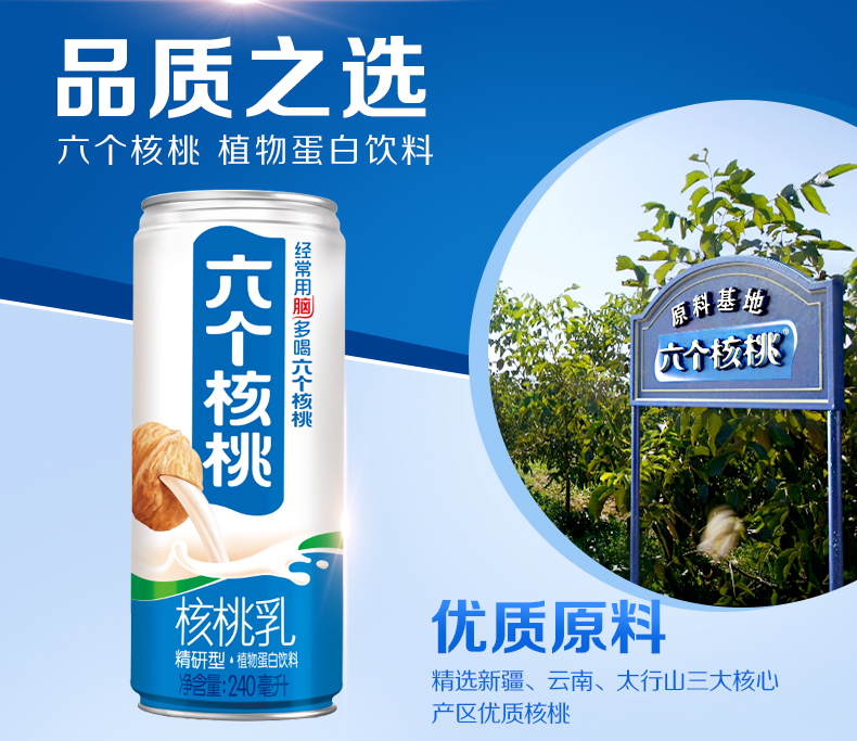 六个核桃 精研型核桃乳 240ml*20罐 图2
