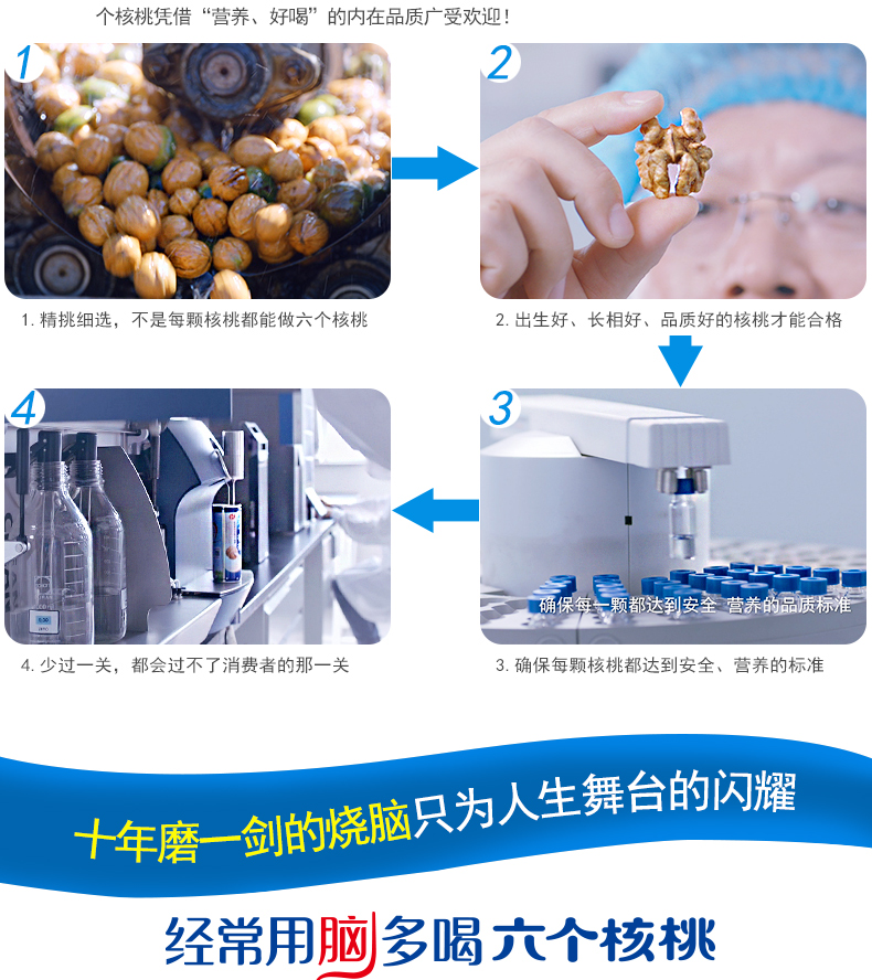 养元 易智优+ 六个核桃 240ml*20罐 图5