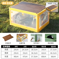 Цветок прозрачного апреля Huang 【【Новое пять лиц, открытых в/три секунды сгиба/принесите деревянную доску】