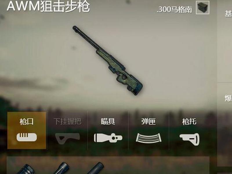 絕地求生 那些表現最強的步槍 淘寶海外