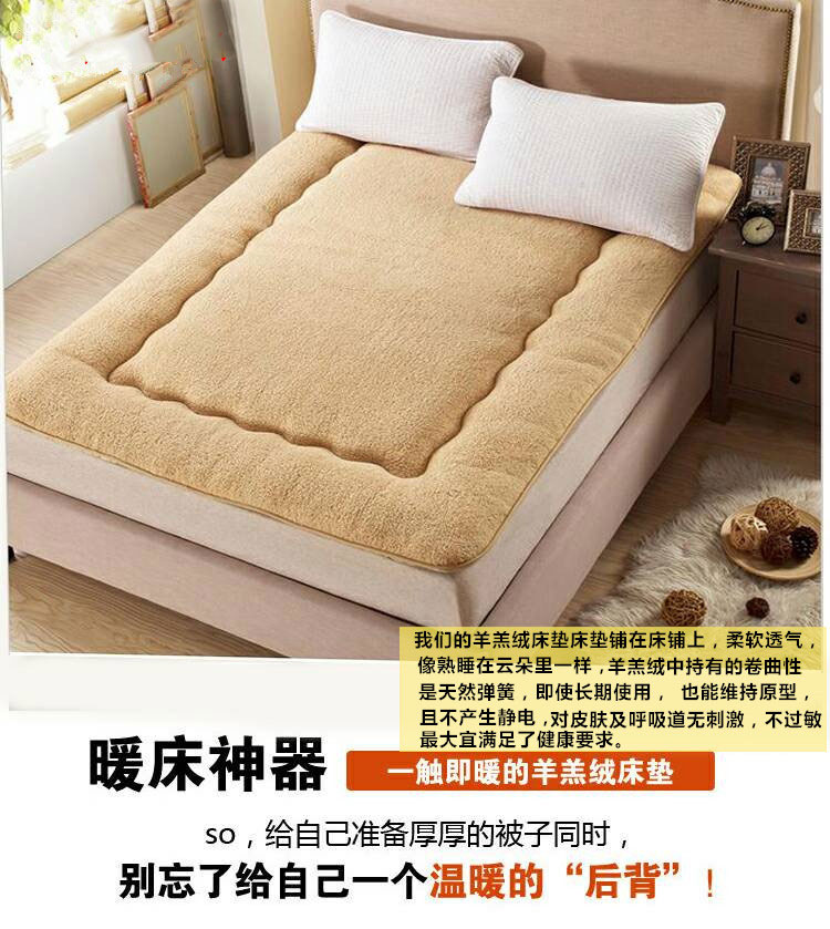 [Đặc biệt hàng ngày] nệm da cừu dày mùa thu và mùa đông gấp đôi thảm sinh viên bị đập vỡ nệm cao su nemgiakho