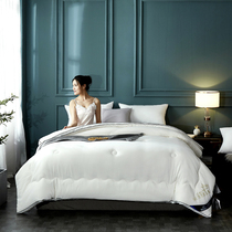 Soybean Fiber Quilt Core Spring Autumn Quilt thickened warm winter quilt cotton quilted by hotel-like room Double quilt All season universal