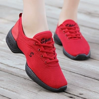 871 Дахонг (одиночная сеть)