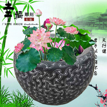 Stone Carving Fish Tank Patio Lotus Flower Vat Green Stone Flower Pot Stone Basin Natural Imitation Ancient Stone Sink Outdoor FISCAL SWING PIECE