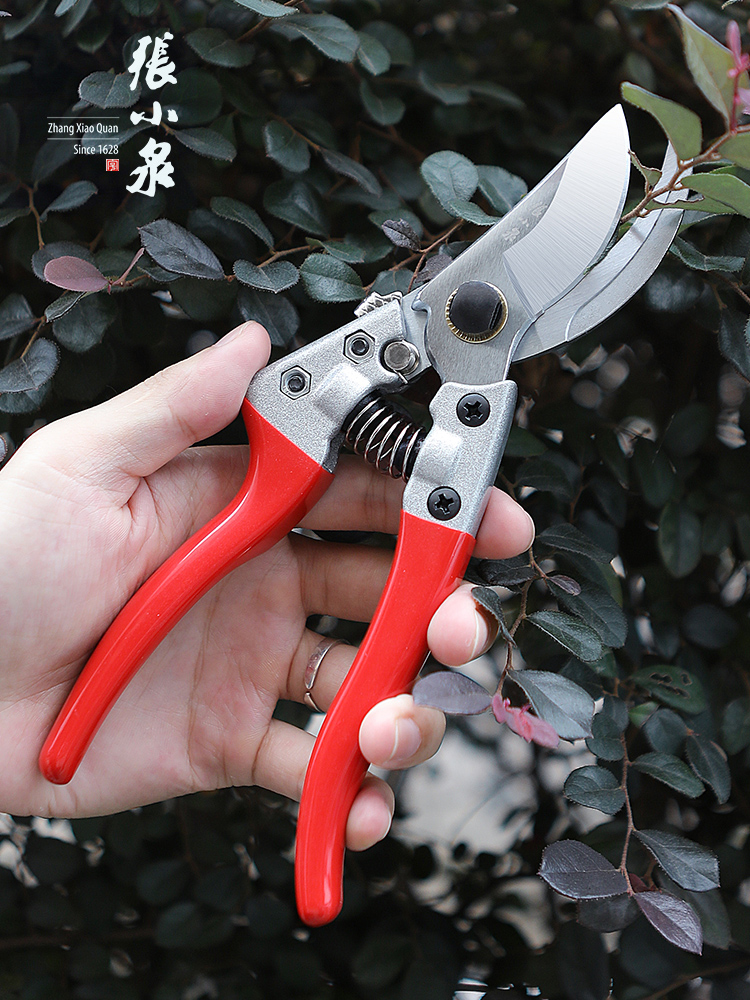 Zhang Xiaoquan Fruit tree pruning knife pruning branch scissors Gardening scissors Floral flower scissors potted pruning pruning pruning pruning Pruning Pruning Pruning pruning pruning pruning pruning