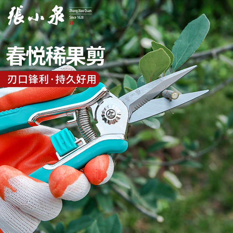 Zhang Xiaoquan pruning pruning shears fruit tree gardening shears pointed fruit picking shearing bonsai flower branches repair shearing orchard thinning fruit scissors