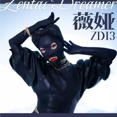 (Zentai Dreamer) micro sub full-bag tights soft super skin-friendly thickness moderate