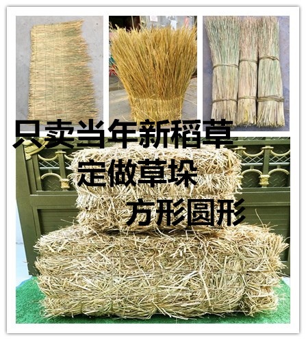 Natural haystack dry straw decorative material Chicken nest grass filled with haystack broken straw mat nest grass valley grass roof chicken
