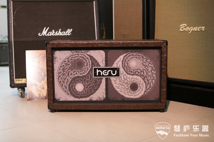 (violin instrument) Polish handmade brand HESU 212 Tai Chi customized version of electric guitar case