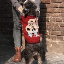 MM one million Tongo TOUCHDOG It It Autumn Winter New Pets Pets Clothes Little Evil Dragon Sweater Two Feet Suit Small Dogs