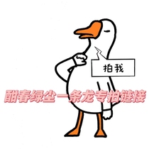 Link to the special work fee for the Spring Green Dust