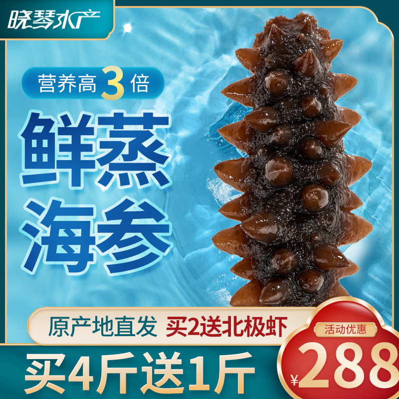 Xiaoqin instant sea cucumber 500g Dalian fresh wild Liao ginseng sea cucumber single loading sea gift box Haisan flagship store