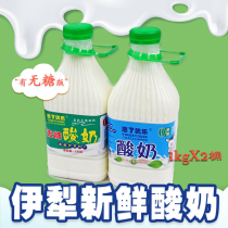 Xinjiang Yili Youle fresh yogurt pure milk fermented lactic acid bacteria sugar-free shelf life 10 days 4kg