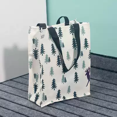 Primary school students' hand-held remedial bags, boys and girls, waterproof canvas, carrying book bags, hand-held supplementary lessons