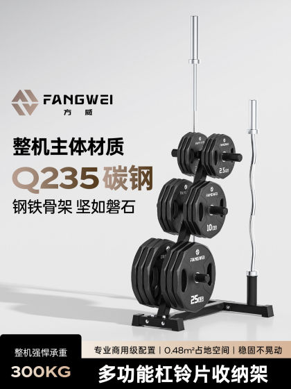 Multi-Functional Small Barbell Rack Dumbbell Barbell Plate Rack Storage Rack Placement Rack Storage Rack Olympic Bar Rack for Home Use