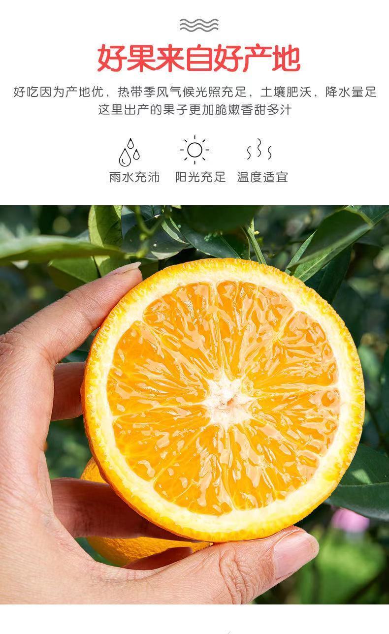 湖南麻阳冰糖橙新鲜水果现摘手剥甜橙脐橙