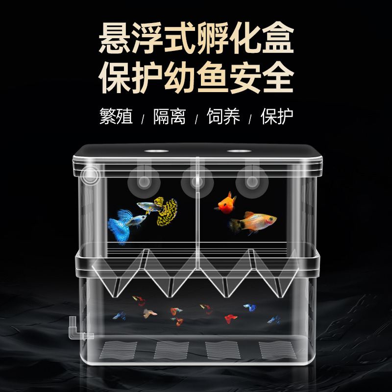 Hatchbox fish tank suspended Isolation box Peacock fish spotted Marfish ornamental fish Small number oversize Ovuter Breeding box