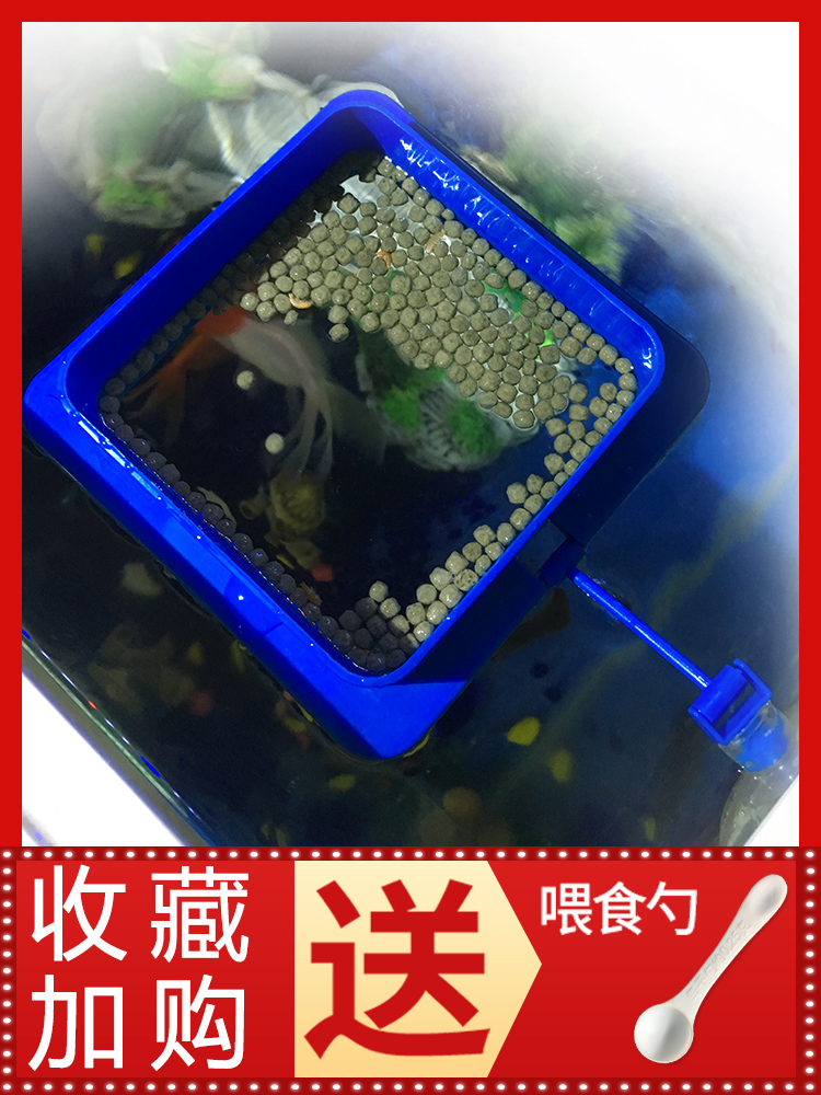 Small fish feeding ring fish tank Floating fish food feeding ring fish food feeder Tropical fish feed guppy feed