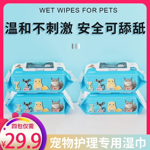Pet Wet Scharf Cat Wet Wet Whit Towns Pets Специальные мокры