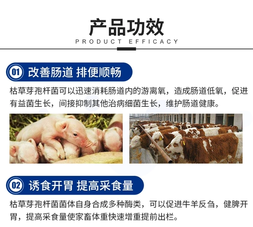 诱食灵 Продвижение пептидного говядины и овец Jianjian Anti -Bloathing, чтобы помочь пищевой пищевой пищевой промышленности и желания Dung Dry So Sow Anorexia