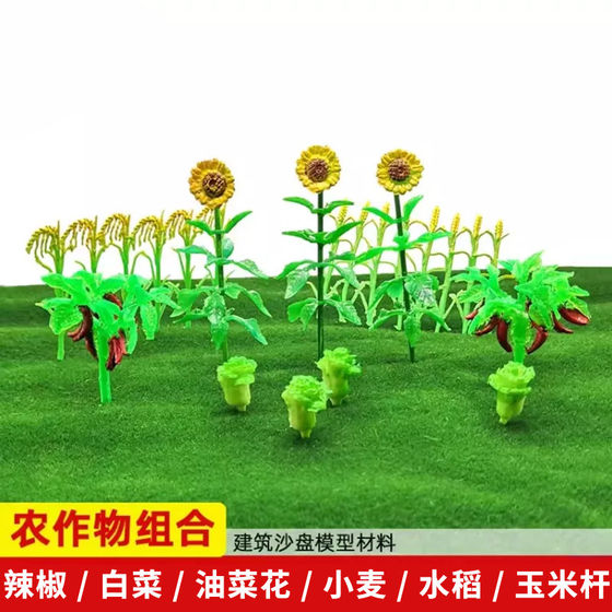 Miniature Model Simulates Crops Such as Cabbage, Wheat, Rice, Corn Stalks, and Rapeseed Flowers, Creating a Simulated Farm Scene