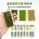 Scenario Model Grass Clusters Miniature Vegetation Sand Table Architectural Model Simulation Grass DIY Materials Dotted Grass Balls Wild Grass Bushes