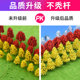 Photography Props Sand Table Micro Landscape Architectural Scene Model Material Street Tree Handmade DIY Trunk Finished Tree Set