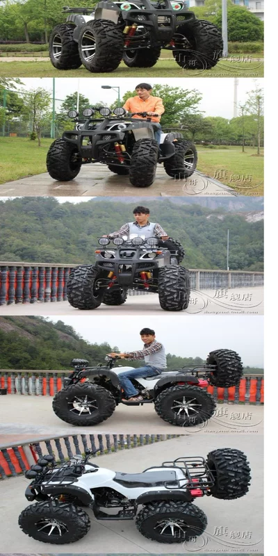 Big bull bãi biển trục lái xe vành đai vi sai bốn bánh xe mô tô bãi biển off-road ATV snowmobile