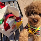 Южнокорейский брендовый милый товар, маленький ланч-бокс, сумка, тканевый мешок