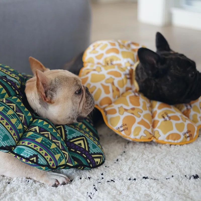 Pet cat dog Elisabeth vòng tròn mui xe mềm chống mite bắt cắn không thấm nước xấu hổ vòng tròn khử trùng bảo vệ - Cat / Dog hàng ngày Neccessities khay đựng đồ ăn cho chó	