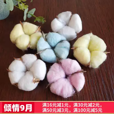 Cotton dry flower eternal flower natural air-dried living room home diy decoration flower arrangement kapok ins bouquet kapok
