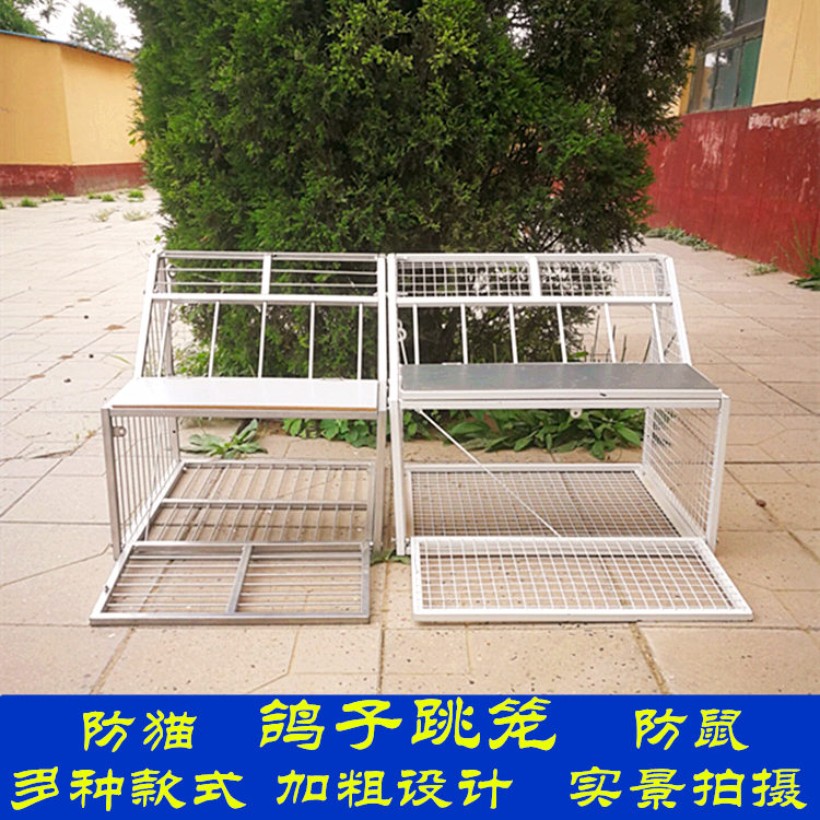 Chim bồ câu, lồng nhảy, chim bồ câu, vật tư, chim bồ câu, bồ câu, bồ câu, bồ câu, chim bồ câu, bàn đạp, hit, cỏ, tổ, chim bồ câu, bồ câu, nhập khẩu - Chim & Chăm sóc chim Supplies loồng chòe lửa