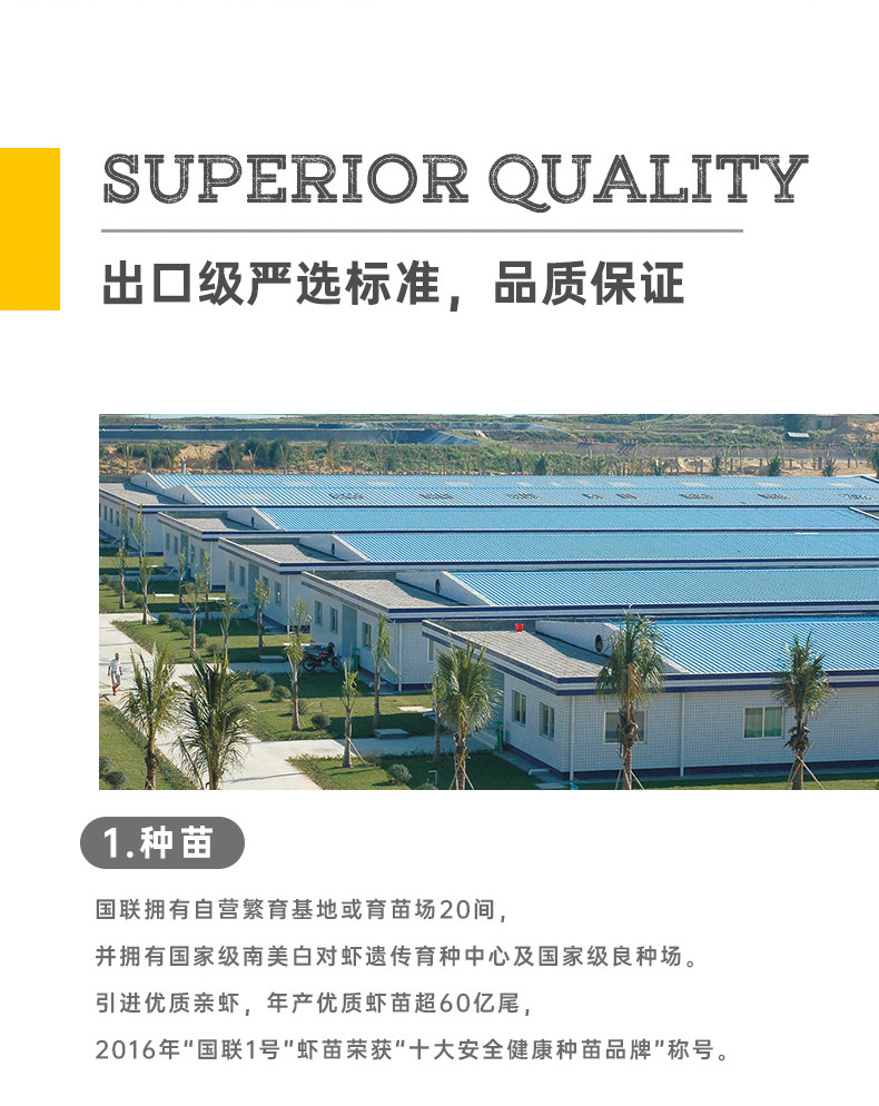 上市企业 国联水产 虾肉手打虾滑 200g*4袋 虾肉含量＞95% 图7