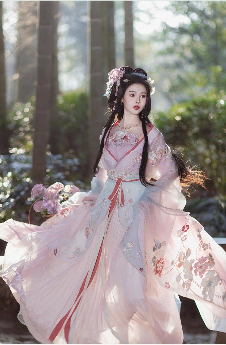 Китайцы одежда наборы 新款原创【玉水轻鸾】刺绣吊带超仙汉服南北朝国风大典走秀明星款