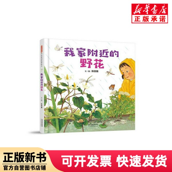 [Authentic New Book] Wildflowers Near My Home (Deluxe Edition) by Chen Liya | Editor: Gu Hua | Painting: Chen Liya Hebei Education 9787554556863