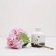 Vân Nam Côn Minh tươi cắt hoa tú cầu nước Yang Anna trang trí nhà cắm hoa cơ sở tóc thẳng có thể được sử dụng cho hoa khô nhà - Vase / Bồn hoa & Kệ