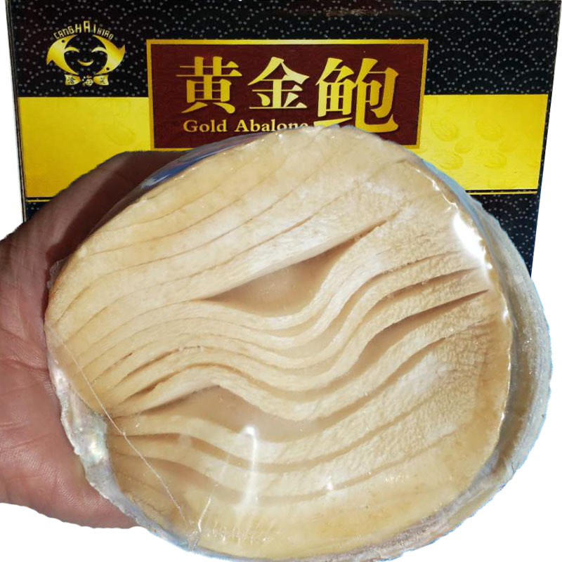 Gold abalone gift box 300-400g only deep sea fresh frozen seafood big abalone Gold abalone spot
