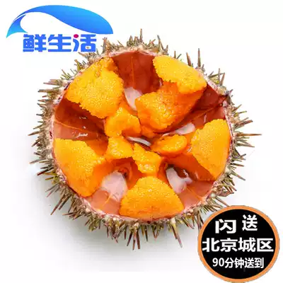 2 1 Beijing send flash fresh sea urchin horse manure bile Dalian seafood aquatic ready-to-eat sashimi spot