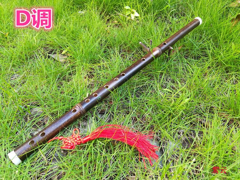 Khuyến mại nhạc cụ gió quốc gia sáo đơn phần tím tre sáo học sáo sáo C D E F G - Nhạc cụ dân tộc đàn đáy