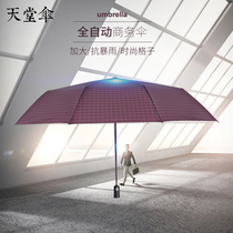 Paradise Umbrella Automatic Umbrella Lattice Umbrella Vinyl Fairy Umbrella Folding Fully Automatic One-click Enlargement Mens and Womens Umbrella Sun Protection