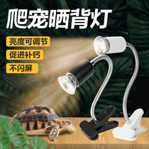 Turtle backbone three-in-one uvb insulation lamp uva full-spectral sun lamp adjust temperature heating back tortoise lamp