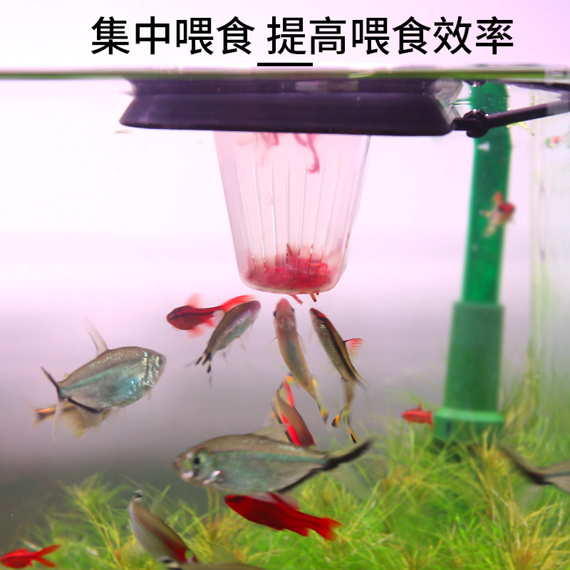 Frozen red worm thaw feeding cup feeding circle harvest shrimp feeder fish tank feeding fish artifact anti-drifting suspension large number