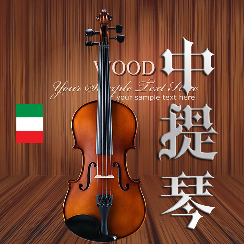 Haocheng Viola Beginner Professional Grade Children's Adult 11- 15-16.5inch Viola Adult Viola
