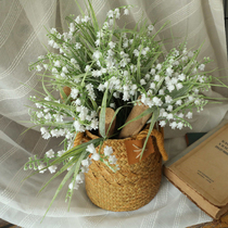 INS Wind Green Plant Suzulan Windbellgrass Fake Flower Emulation Flower Home Living Room Decoration Flower Furnishing Photo props