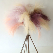 Simulation Flower Reed Grass Feather Reeds Reed Dog Tailgrass Plant Landing Living-room Home Living-room Home Decoration Furnishing Photographic Props